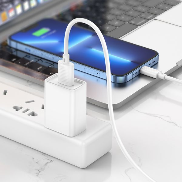 hoco X88 Gratified charging data cable for iPhone 1M